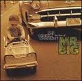 THE BEST OF MR.BIG