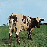 ATOM HEART MOTHER