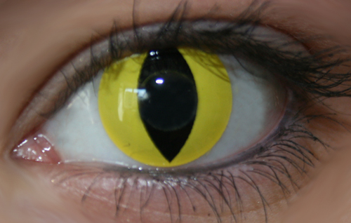 COPPIA LENTI A CONTATTO CAT EYE